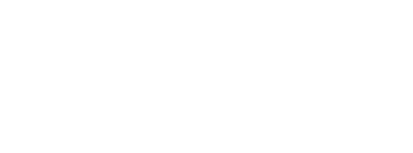 Cybit